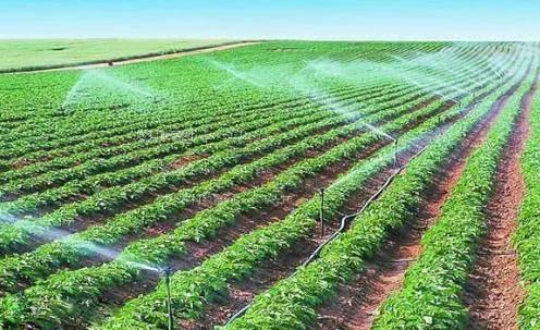 欧美边尿边插农田高 效节水灌溉